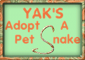 Click to Adopt!